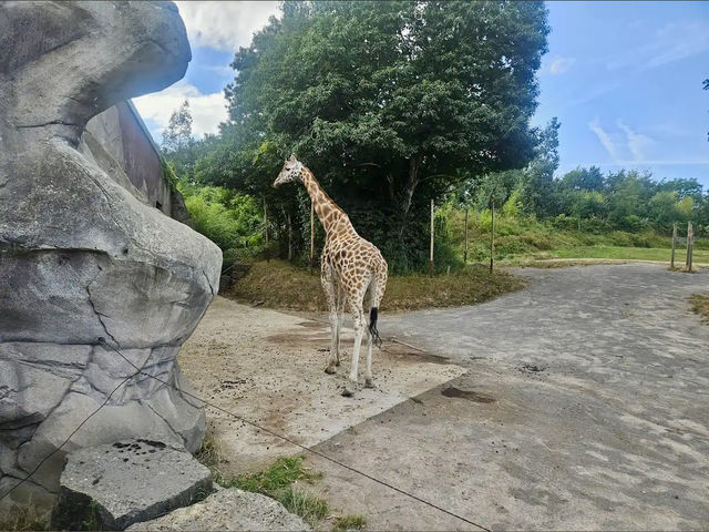 Chessington World of Adventures