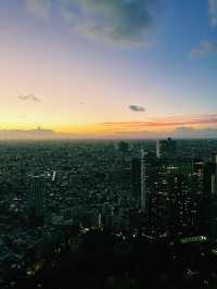 Tokyo’s Skyline Splendor at Sunset