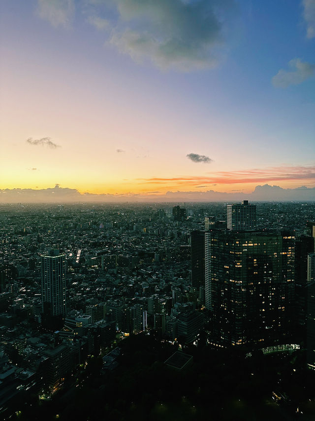 Tokyo’s Skyline Splendor at Sunset