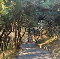 Fragrant Hill: Ideal Hike for Breath-Taking Views and Fresh Breeze!