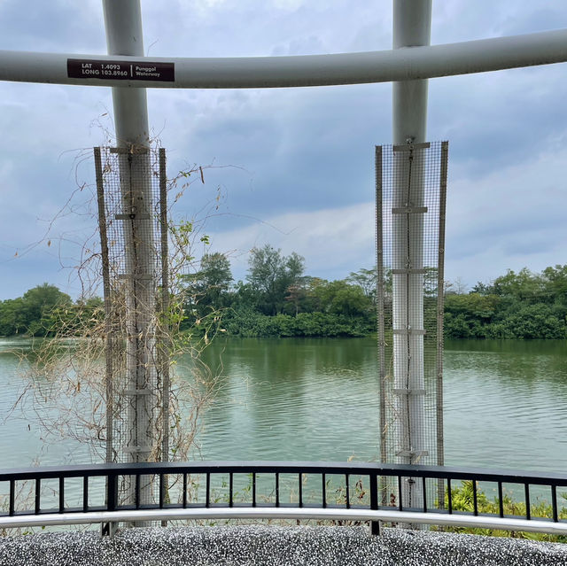 Punggol’s Coastal Charm: A Perfect Day Walk Along the Seaside and Promenade