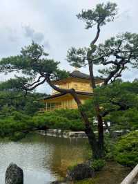 วัดคิงกะกุ金閣寺