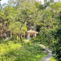 筆架山公園：綠野詩意天堂🌿✍️