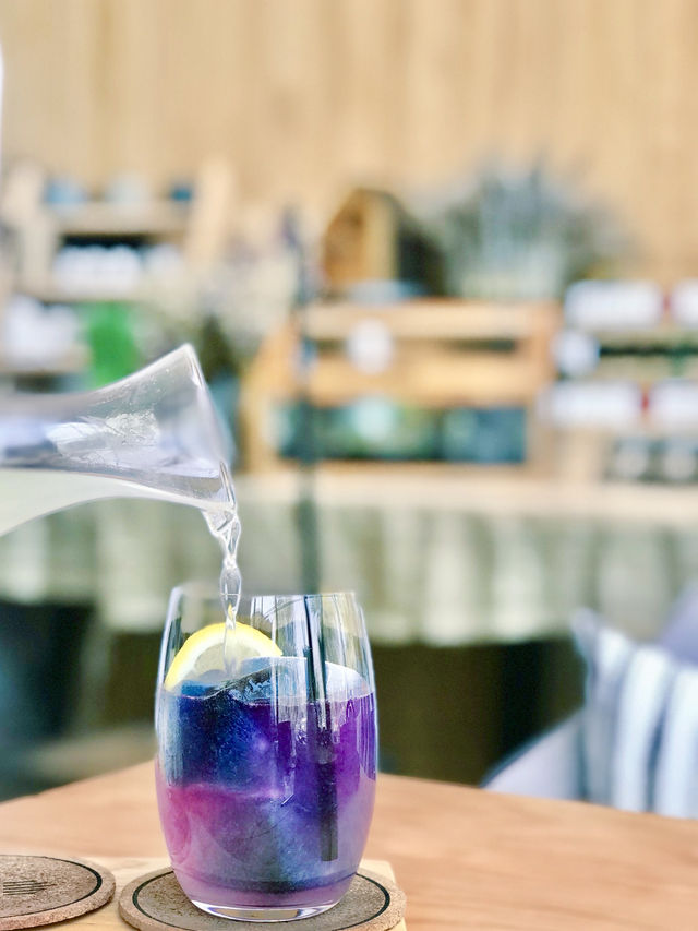 The Village Farm To Café คาเฟ่สายธรรมชาติ