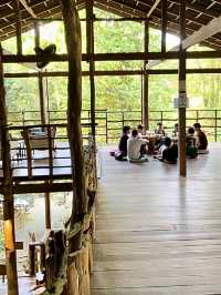 “Pinto Coffee: Sip & Relax Amidst Janda Baik’s Enchanting Roots”