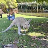 キャバーシャム・ワイルドライフ・パーク🇦🇺