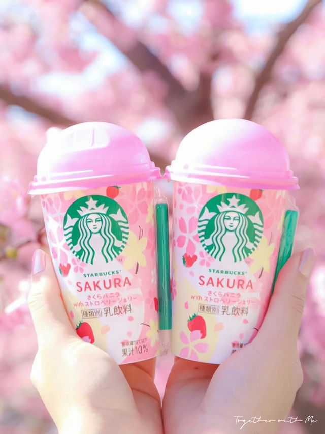 🌸 Matsuda Sakura Festival 🌸