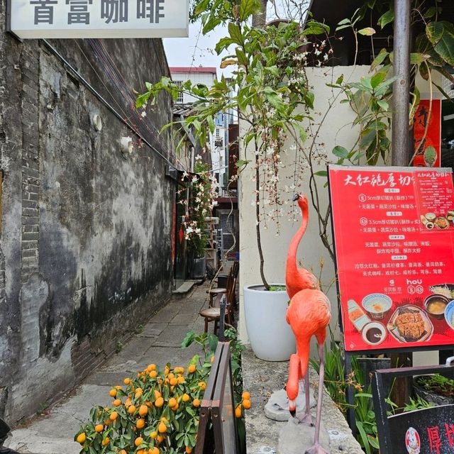 再遊北山