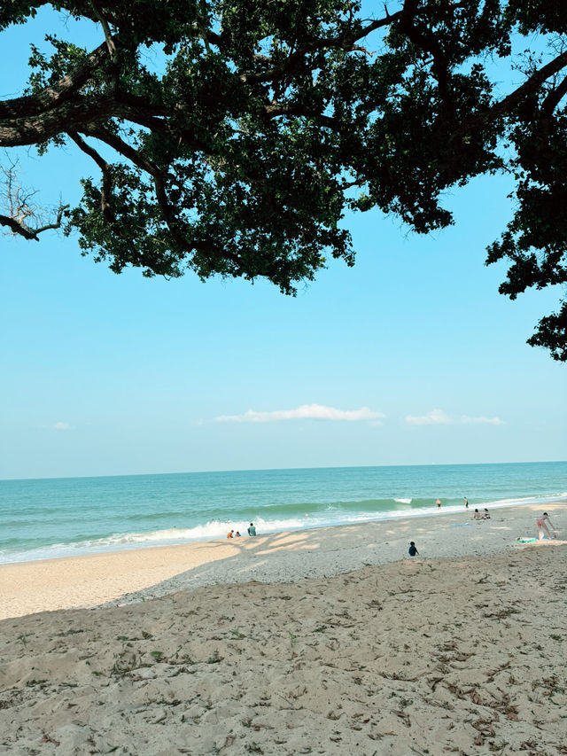 Desaru Beach – Where Golden Sands Meet Crystal Waters 🌊