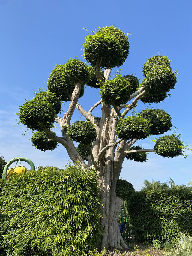 香港迪士尼樂園，進來了就不想出去了🏰✨