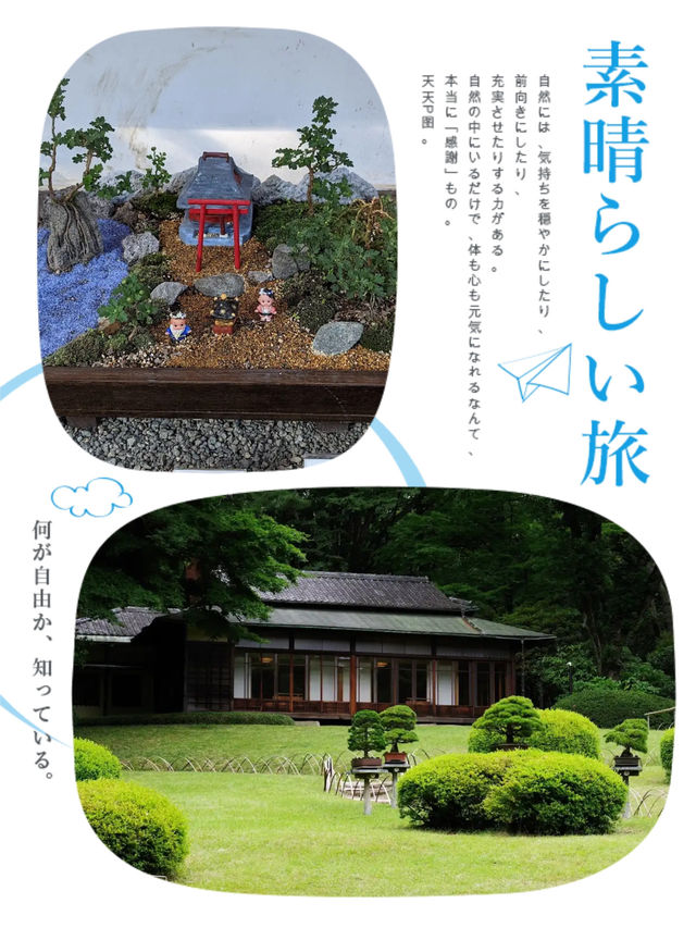 明治神宮內有乾坤👣園中園