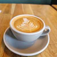 speciality coffee