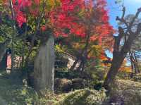 【高山　櫻山八幡宮】
