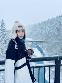🌟 **白須瀑布：冬日裡的銀白奇景** 🌟