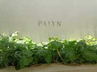Palyn cafe 