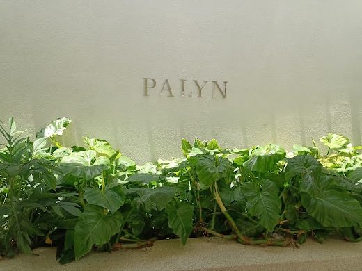Palyn cafe 