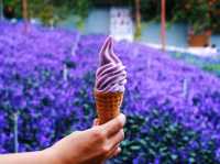 Cameron Highlands: A Cool Retreat Amidst Lush Greenery
