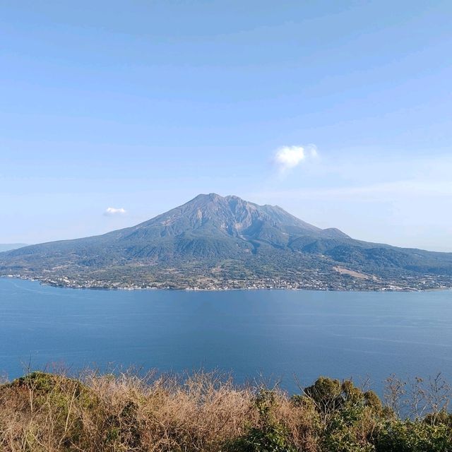 鹿兒島旅行｜櫻花×夜景×美食大滿足！🌸🌃🍜 性價比爆燈
