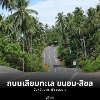 ถนนเลียบทะเล ขนอม-สิชล วิวสวยตลอดเส้นทาง 🚗🌊