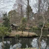 グルメに食べ歩きに参拝、アート体験などなんでもできる深大寺🥳🤍