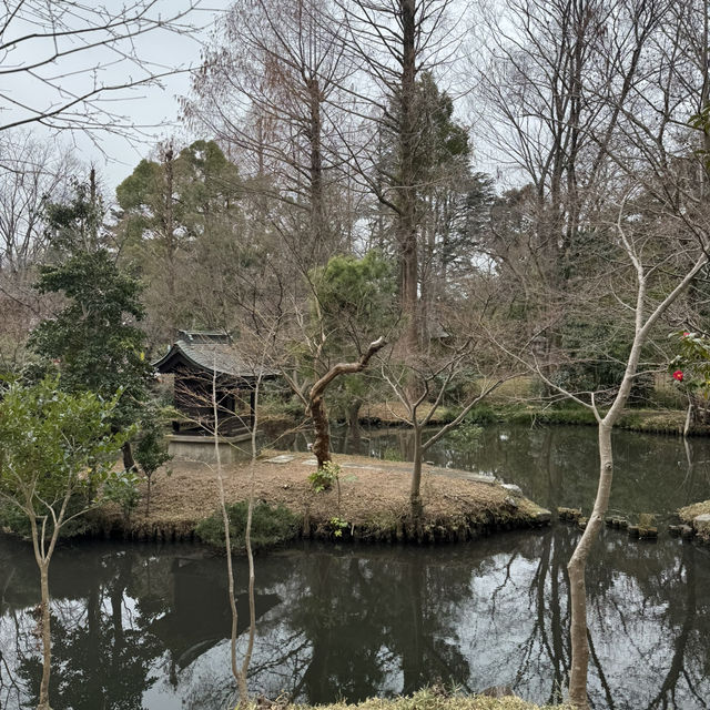 グルメに食べ歩きに参拝、アート体験などなんでもできる深大寺🥳🤍