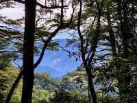 親民的綠野仙境～稍來山步道