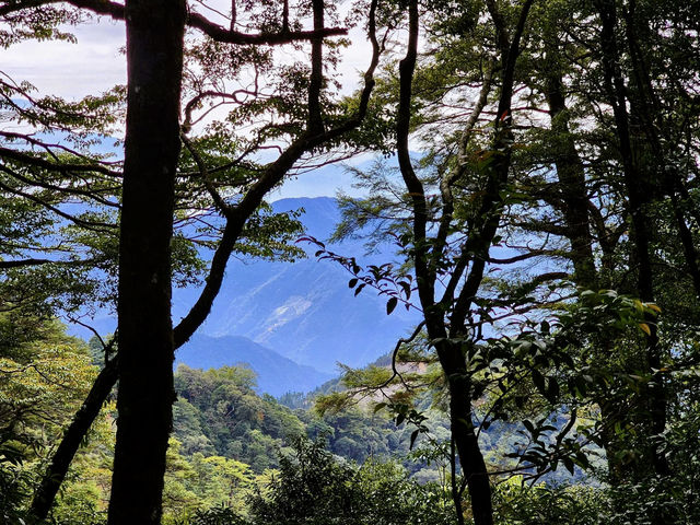 親民的綠野仙境～稍來山步道