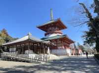 One day trip จุดท่องเที่ยวแถวนาริตะ 