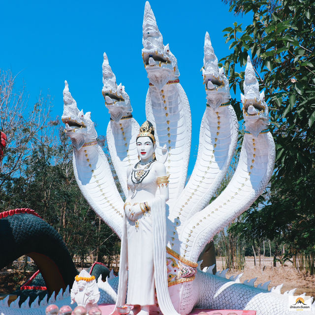 วัดโนนโพธิ์งาม
