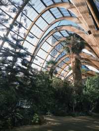 Spring Awakens at Sheffield Winter Garden 🌿🌸