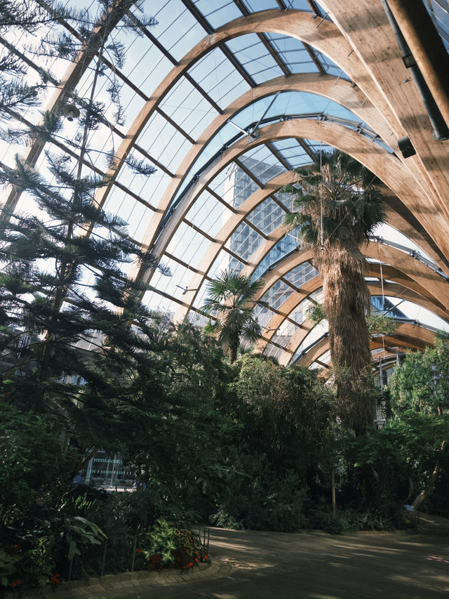 Spring Awakens at Sheffield Winter Garden 🌿🌸