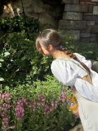 Tokyo Disneyland – A Fairytale Land