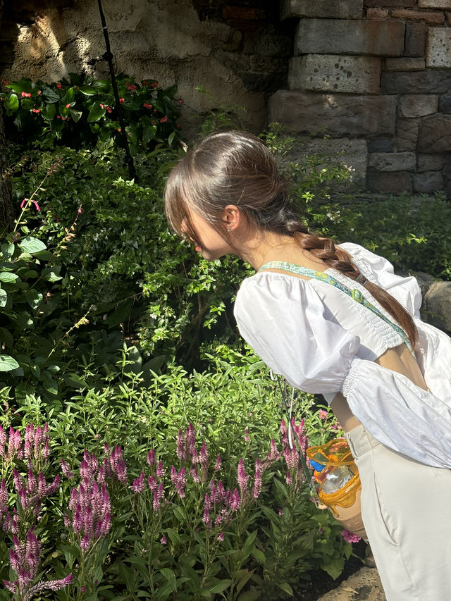 Tokyo Disneyland – A Fairytale Land