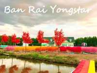 บ้านไร่หยงสตาร์
