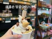 태국 빠이보다 훨씬 멋진 북부 여행 “매홍손”으로 떠나세요!!