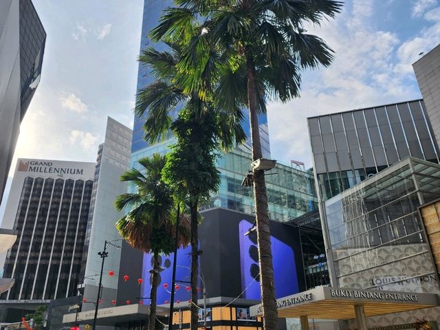 [🇲🇾クアラルンプール] 絶景とショッピングを満喫 ツインタワー＆パヴィリオン