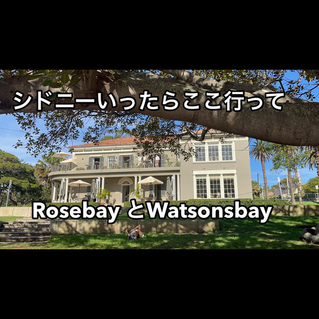 【シドニー】行くならここ行って！Rosebay watsonsbay