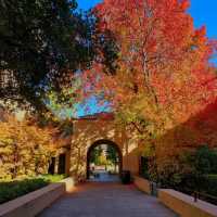 Exploring Stanford University: A Must-Visit Destination