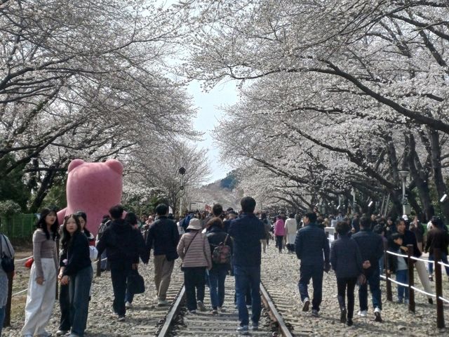 Korea's largest Spring Festival
