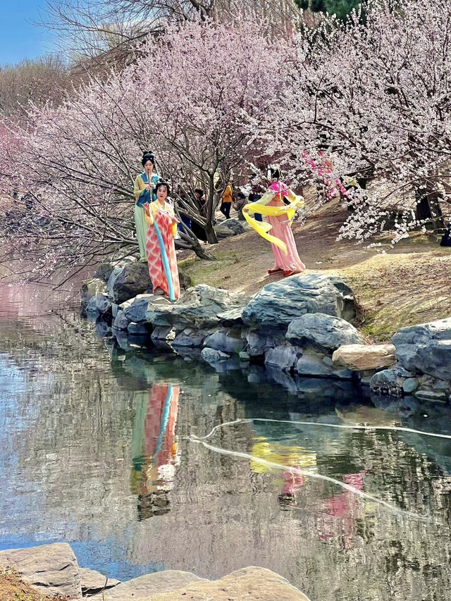 🌸 Walking Through Yuanmingyuan Feels Like Time Travel ✨