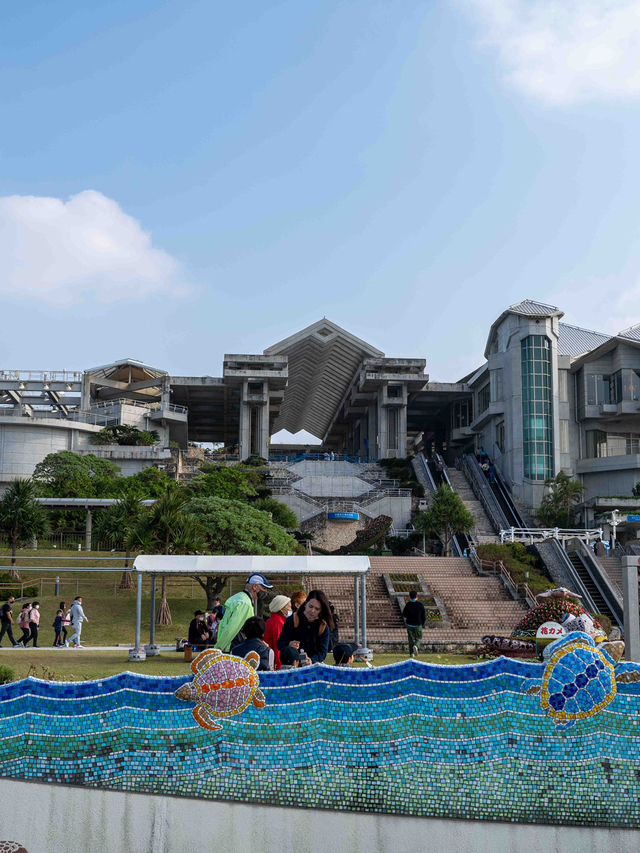 美ら海水族館 – 世界屈指の大水槽を体感🐠🌊