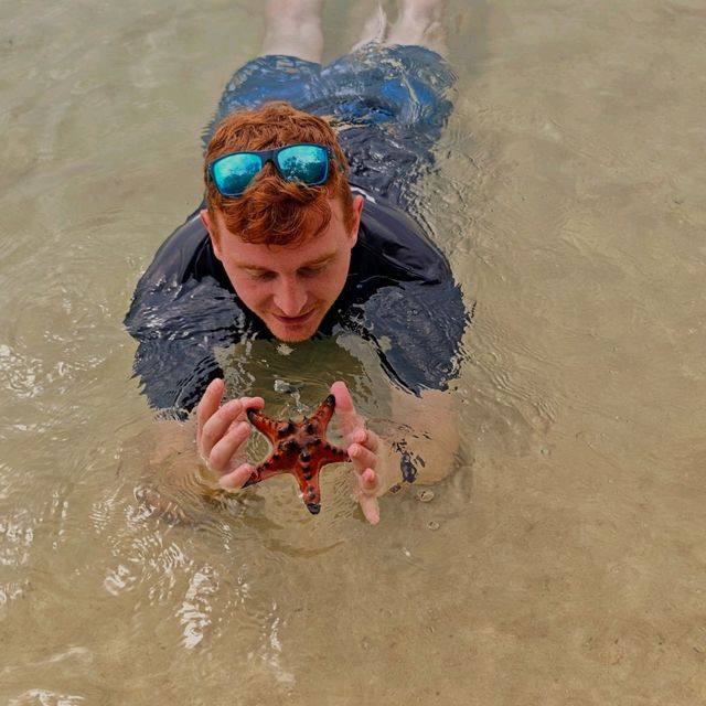 Starfish Beach 🇻🇳 Phu Quoc