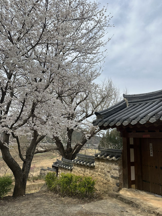 아름다운 자연풍경으로 둘러싸인 ‘밀양 금시당’