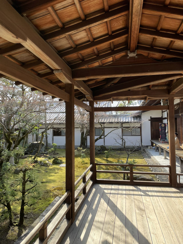 【京都】五重塔と美しい庭園をもつ世界遺産・仁和寺