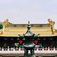 都会の喧騒に佇む金色の仏教寺院✨⛩️
