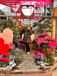 Trip to cherish🇯🇵