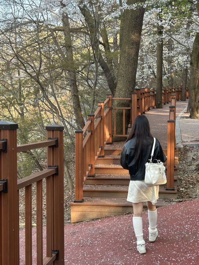 수암골 전망대에서 이어지는 힐링 산책길, 수암골 산책로 🌿
