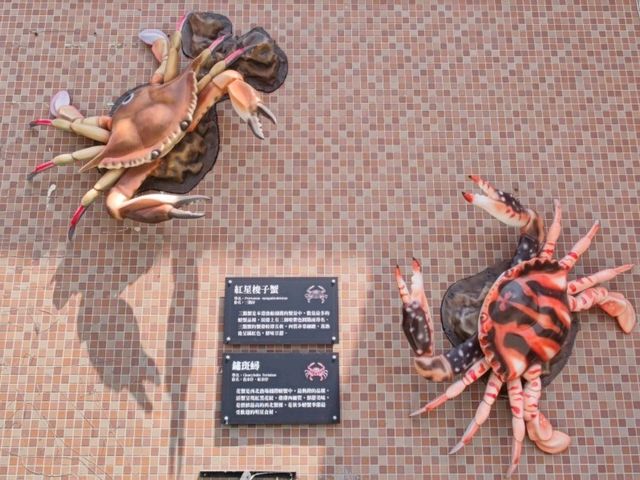#淡水漁人碼頭-新北市淡水區