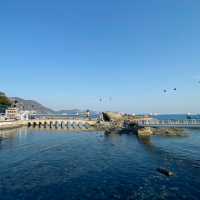 龜島｜愛情傳說與海景的浪漫小島