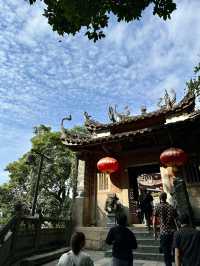 The Living Mountain: A Pilgrimage Through Qingshuiyan's Ecological Sanctuary